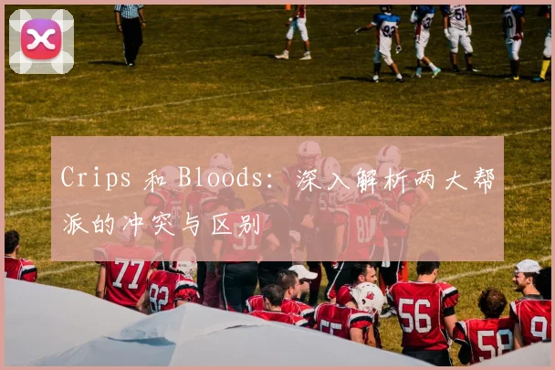 Crips 和 Bloods：深入解析两大帮派的冲突与区别