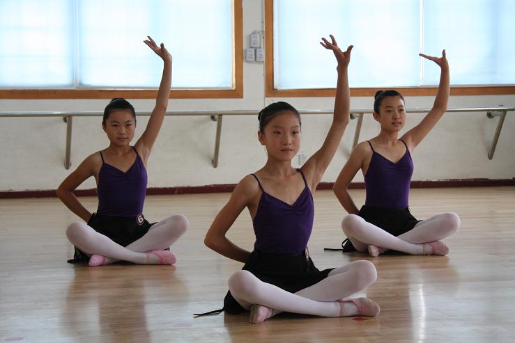 翻转课堂在舞蹈表演专业民族民间舞教学中的应用论文