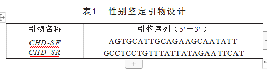 鸡W染色体基因CTIF在鸡胚组织中的表达研究论文